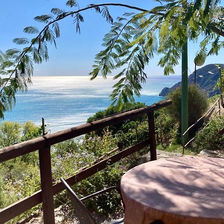 Villa Pietrafiore Monterosso al Mare Bagian luar foto