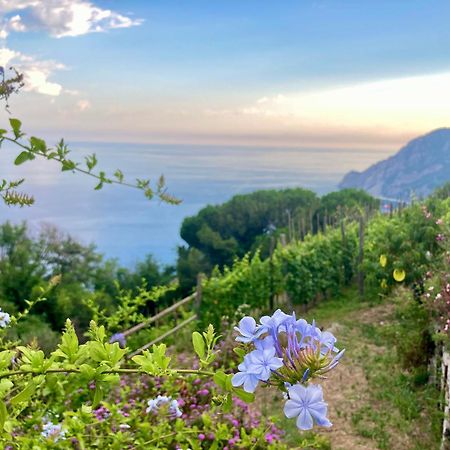 Villa Pietrafiore Monterosso al Mare Bagian luar foto