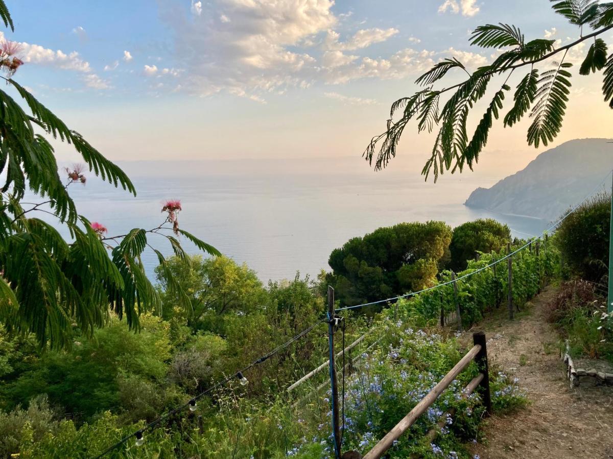 Villa Pietrafiore Monterosso al Mare Bagian luar foto
