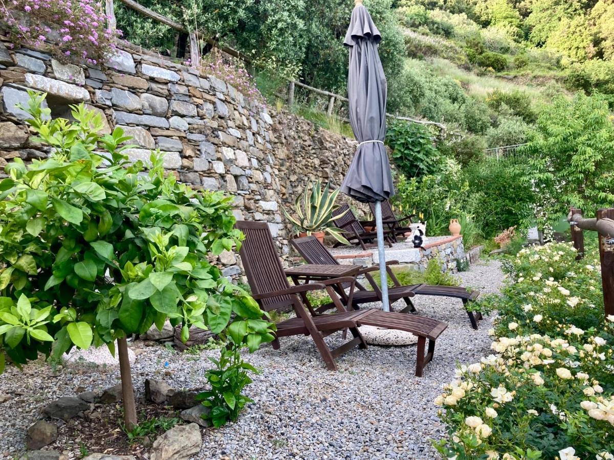 Villa Pietrafiore Monterosso al Mare Bagian luar foto