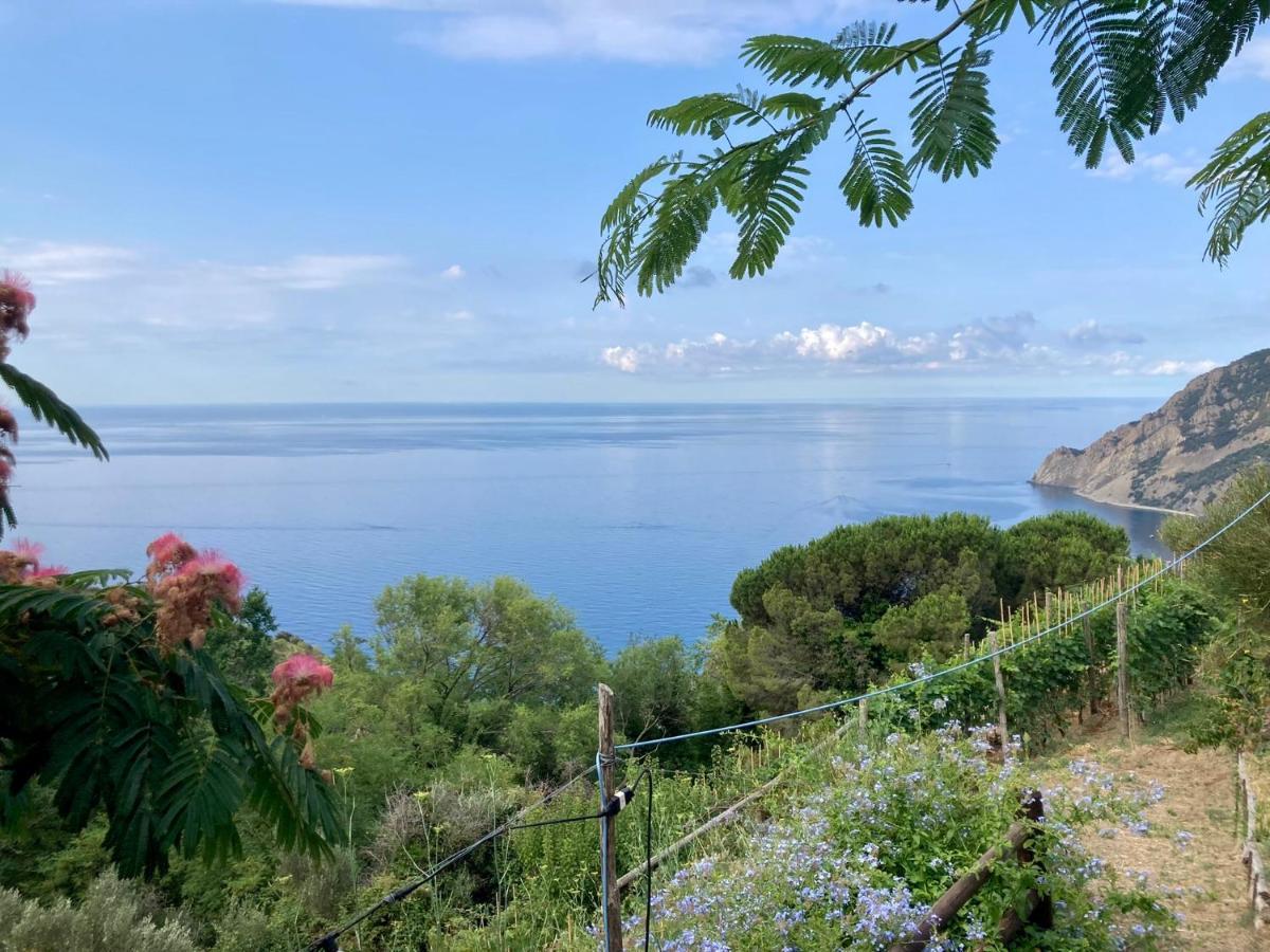 Villa Pietrafiore Monterosso al Mare Bagian luar foto