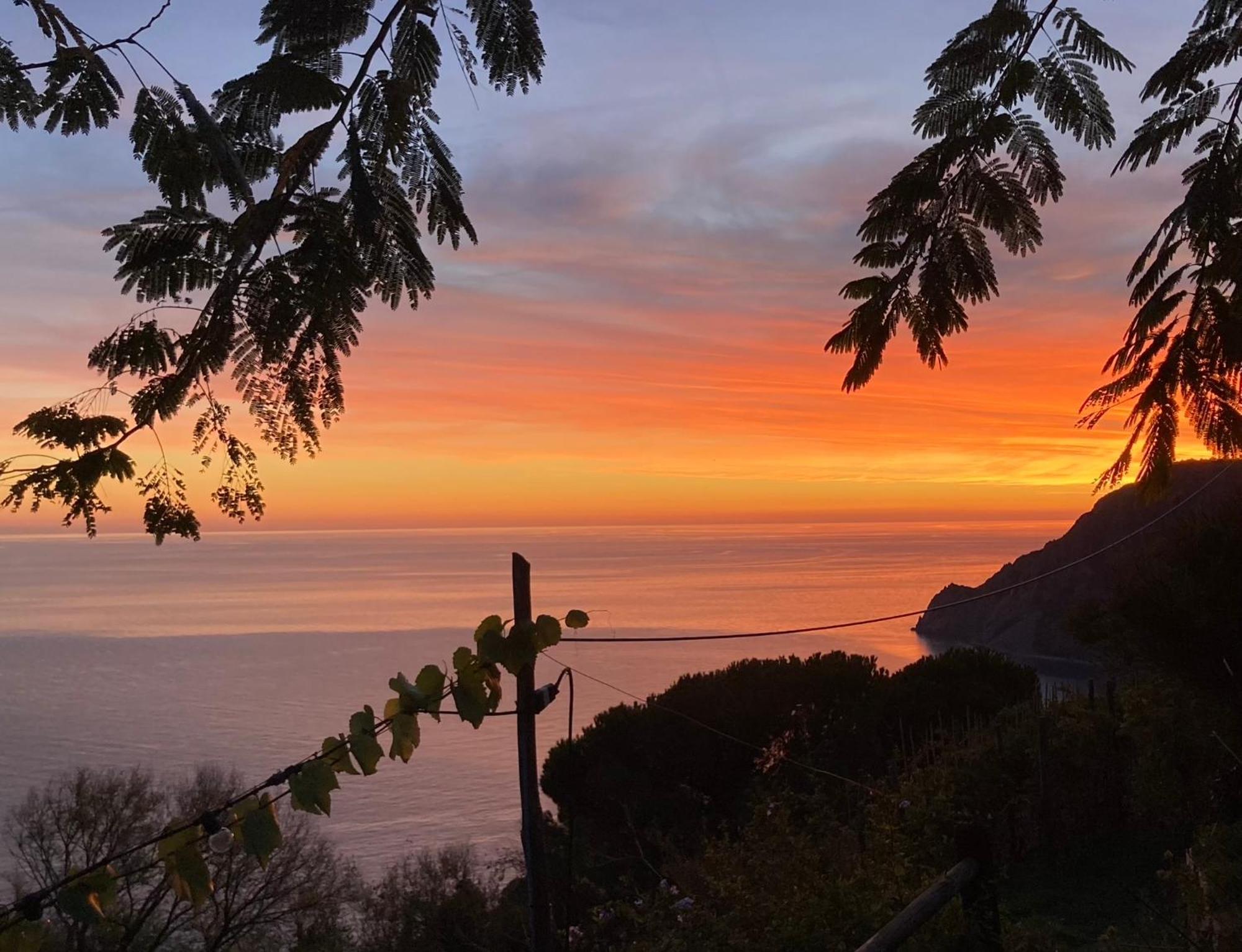 Villa Pietrafiore Monterosso al Mare Bagian luar foto