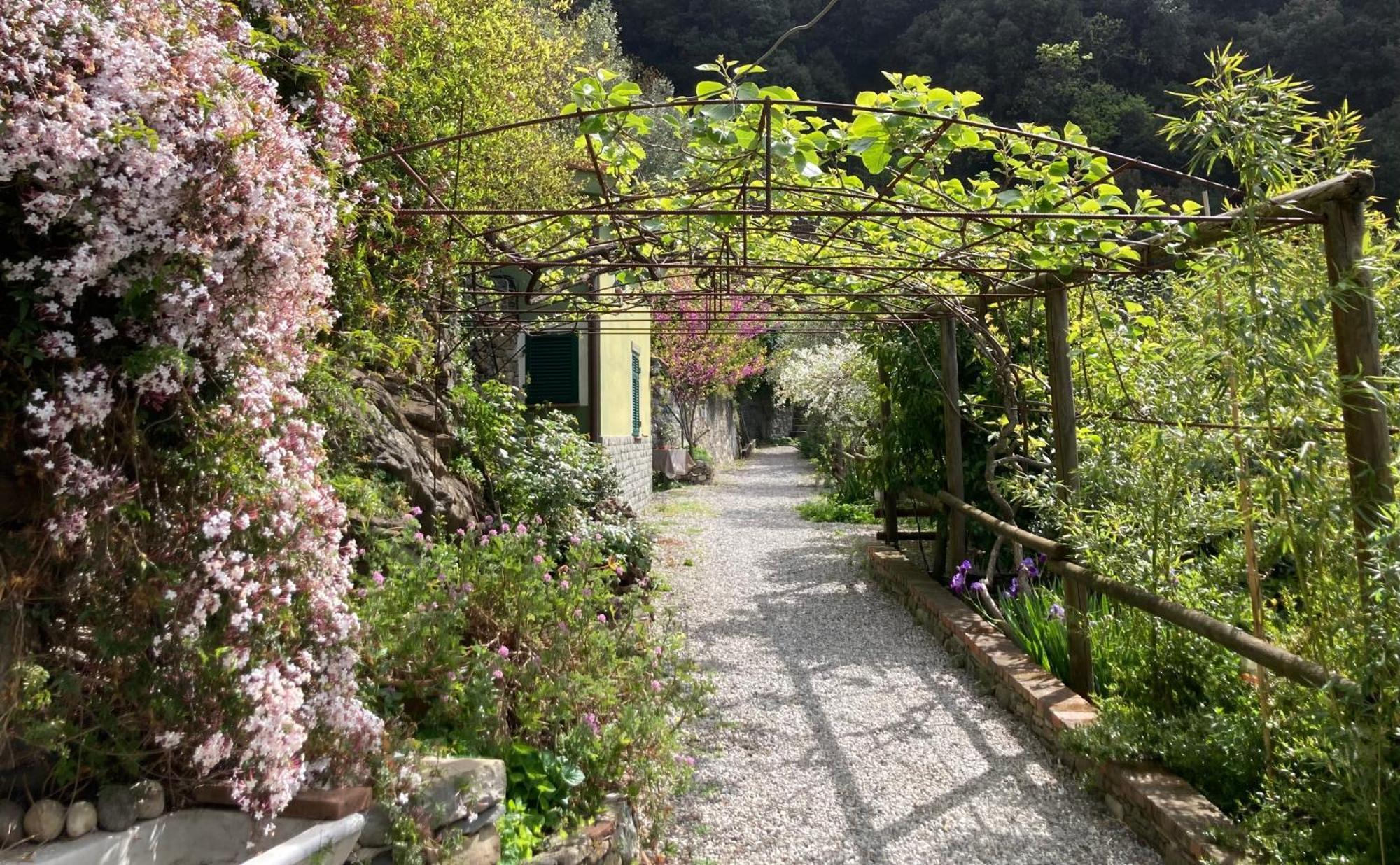 Villa Pietrafiore Monterosso al Mare Bagian luar foto