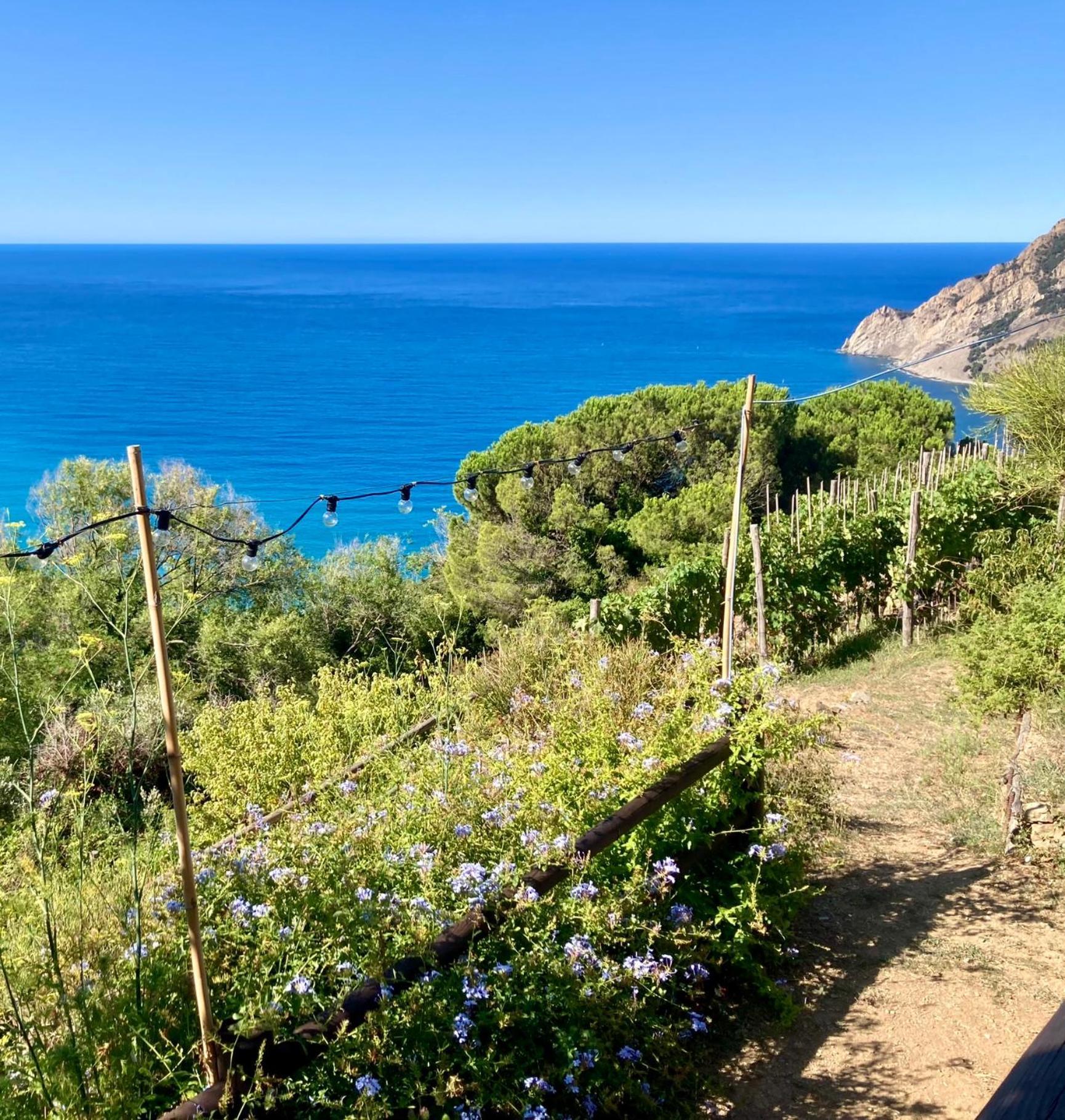 Villa Pietrafiore Monterosso al Mare Bagian luar foto