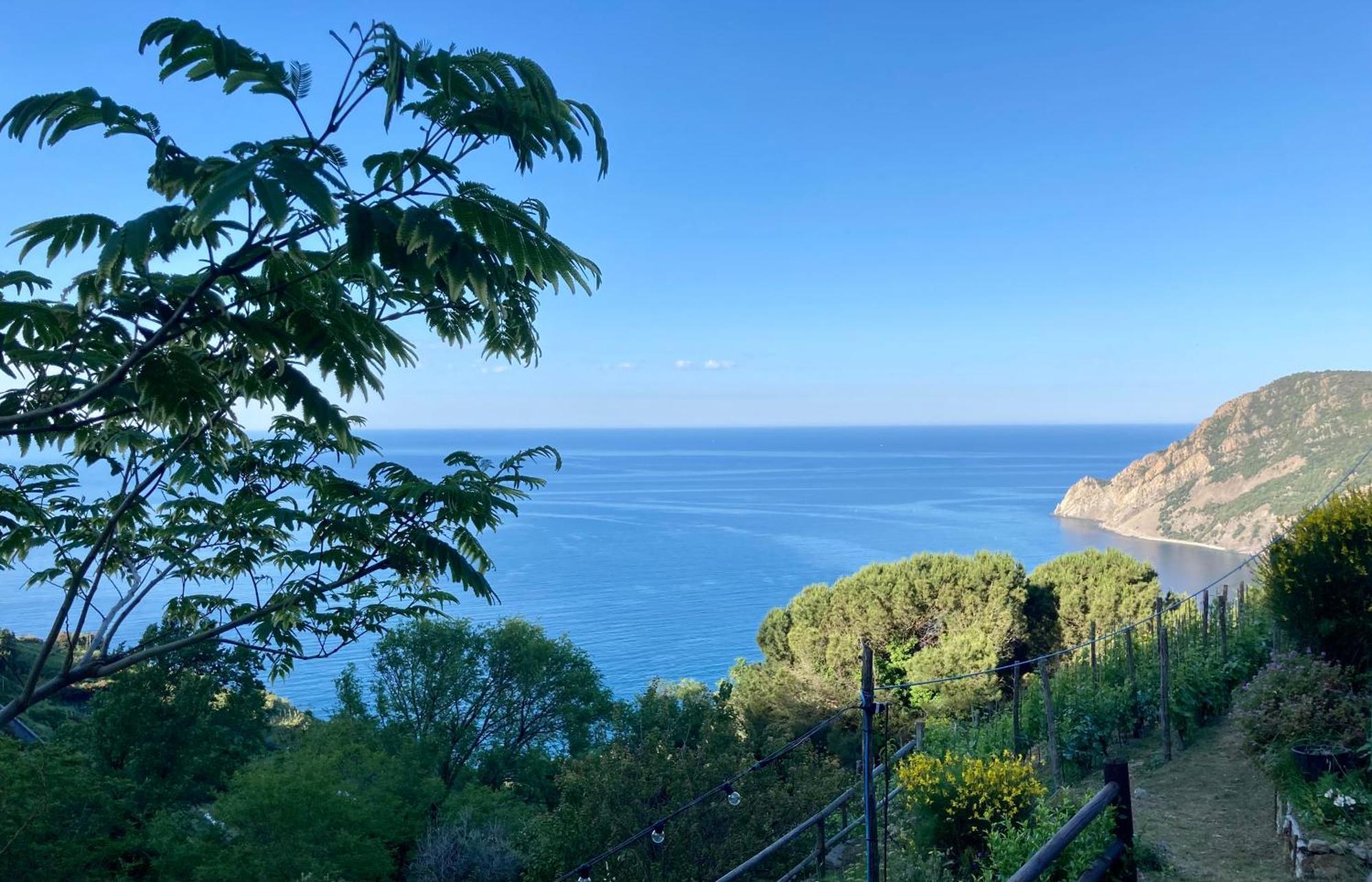 Villa Pietrafiore Monterosso al Mare Bagian luar foto