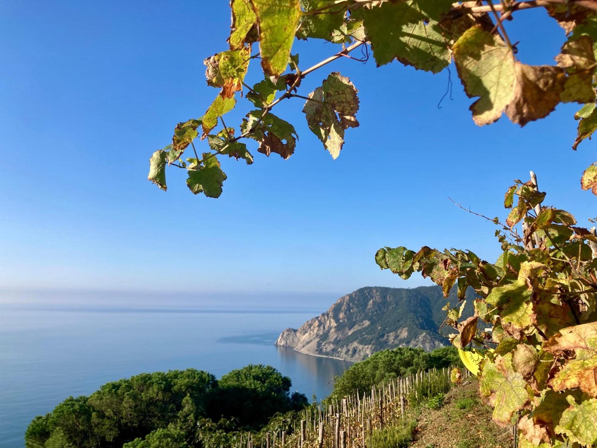 Villa Pietrafiore Monterosso al Mare Bagian luar foto