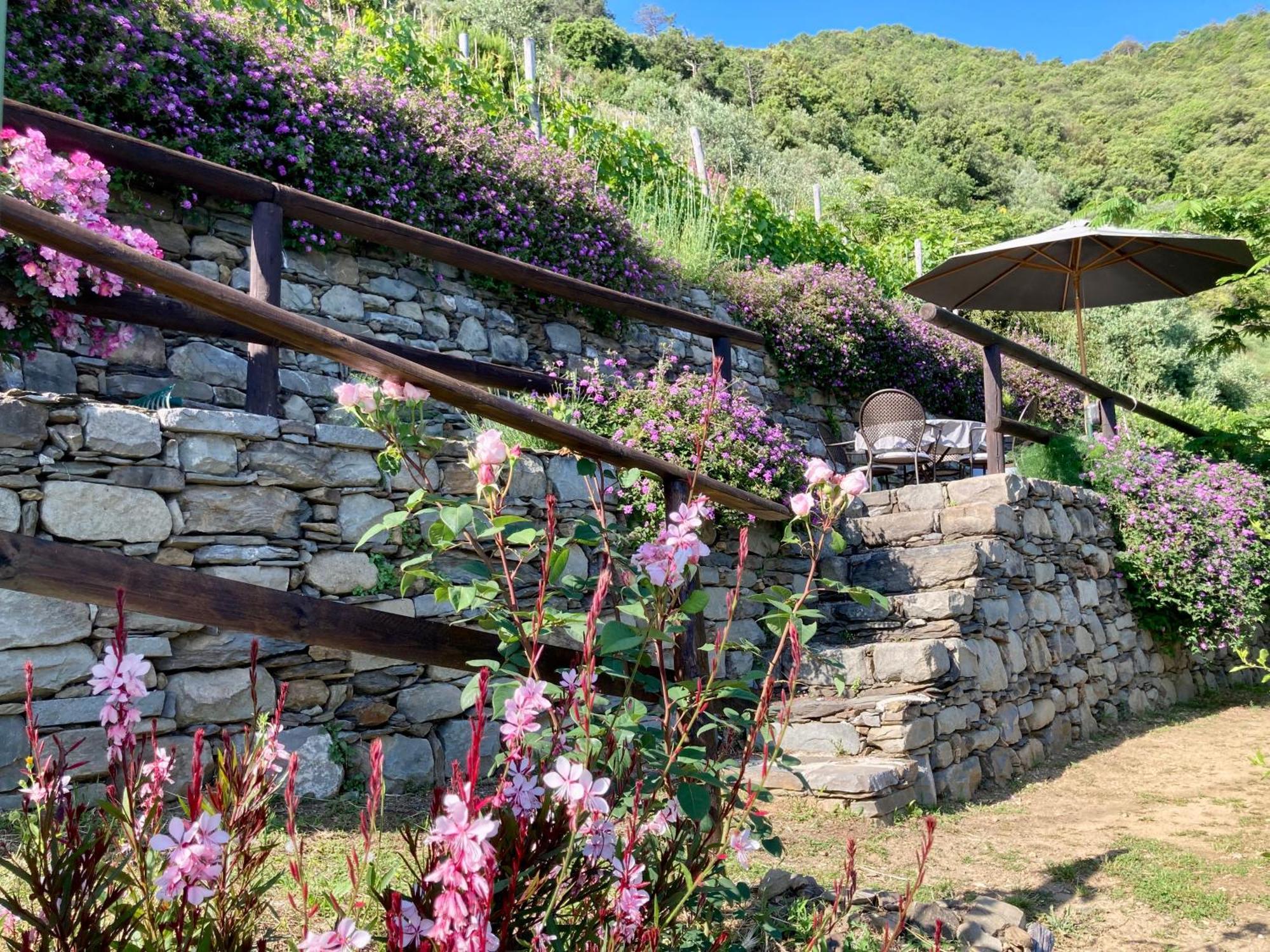 Villa Pietrafiore Monterosso al Mare Bagian luar foto